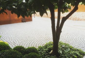 Außengestaltung (14)