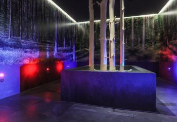 Hotel Waldheim – Wellness (37)