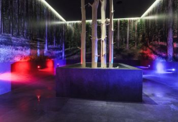 Hotel Waldheim – Wellness (38)