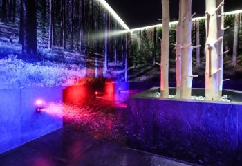 Hotel Waldheim – Wellness (39)