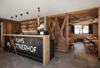 Plattnerhof – Viums (33)