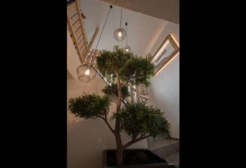 Walderhof – Natz (103)